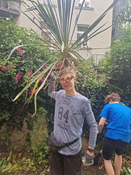 Datei:IMG-20240617-WA0036.jpeg